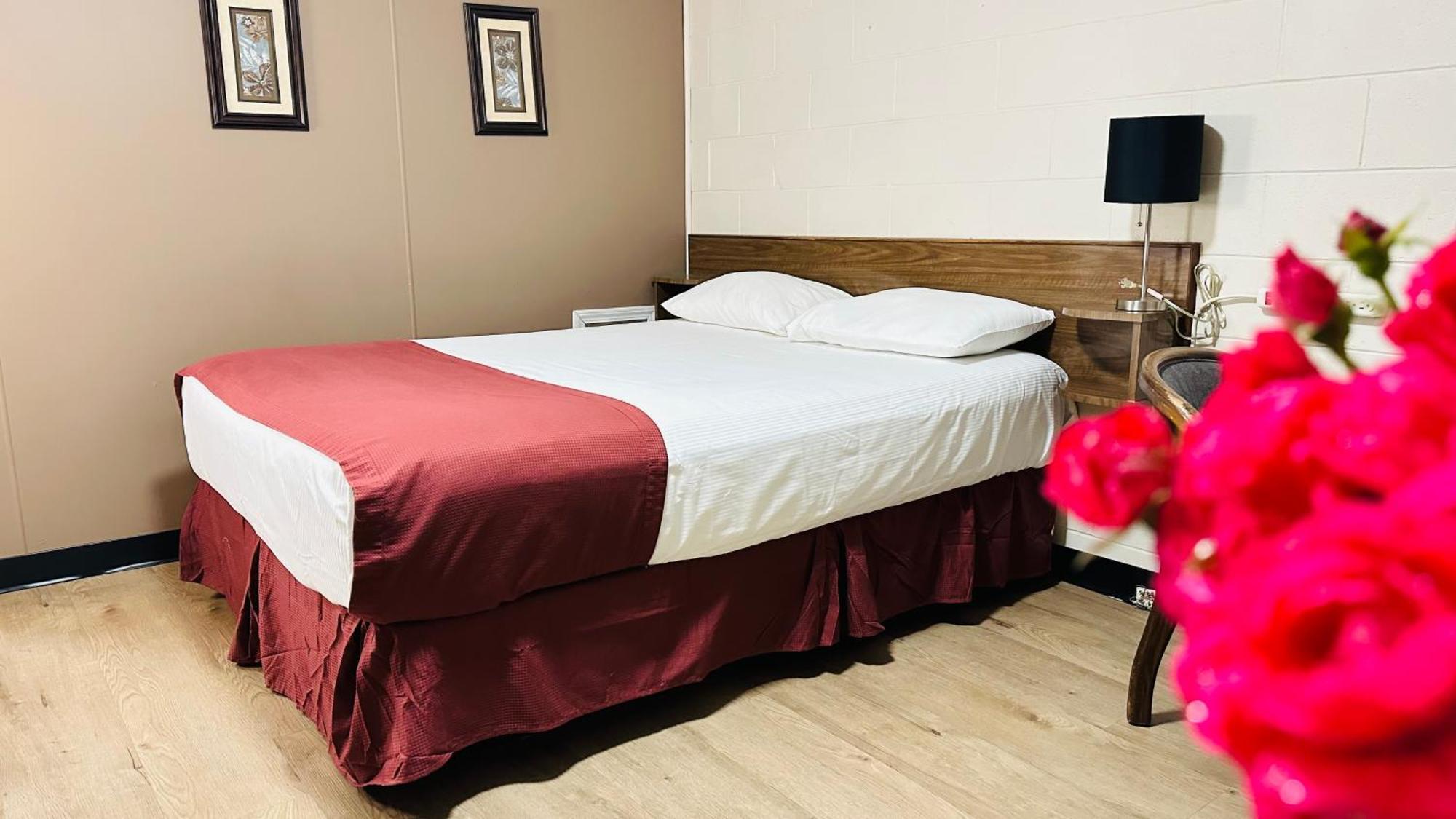 Travellers Motel Cranbrook Eksteriør billede