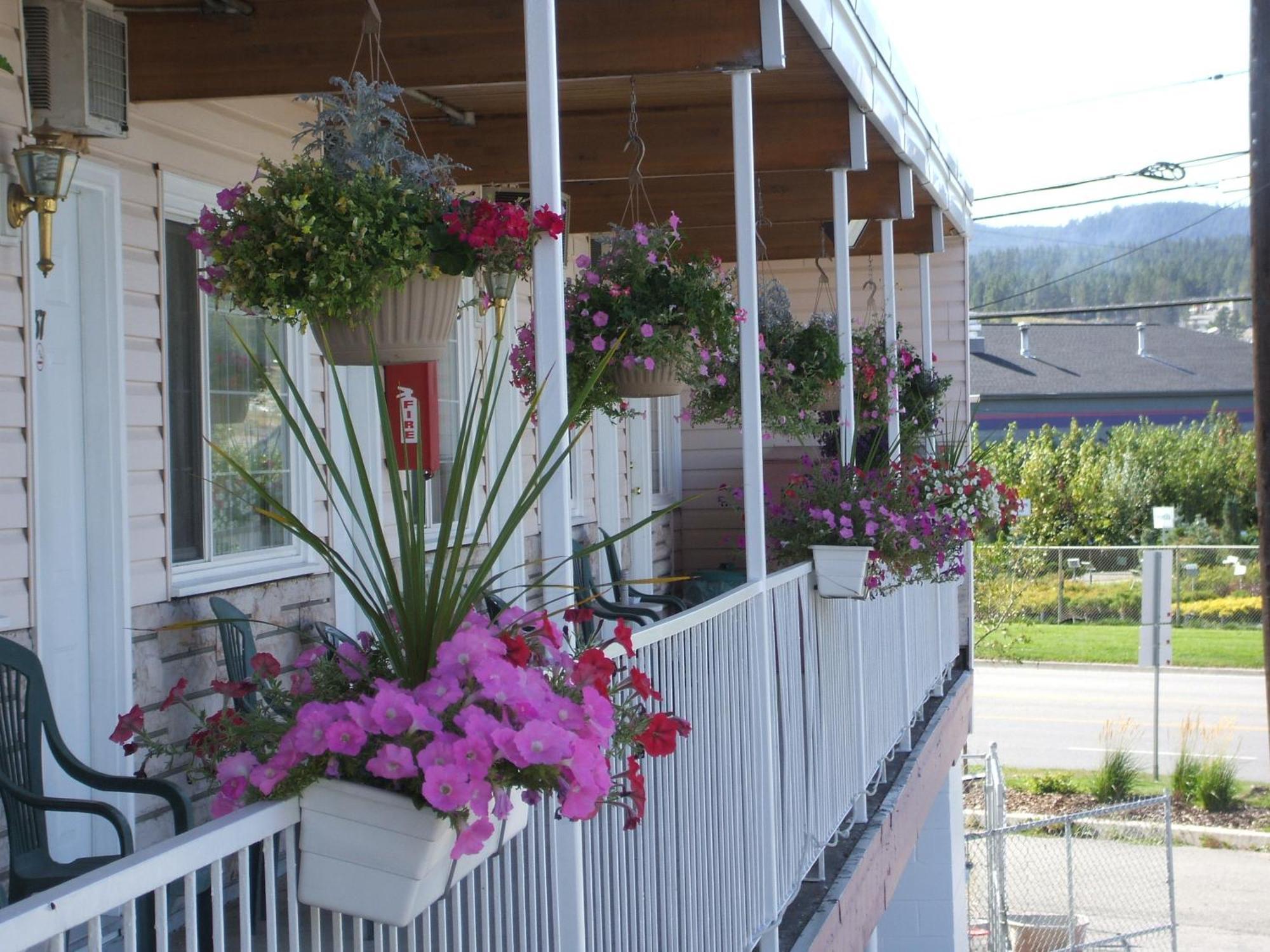 Travellers Motel Cranbrook Eksteriør billede